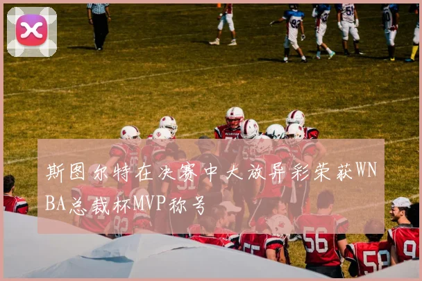 斯图尔特在决赛中大放异彩荣获WNBA总裁杯MVP称号