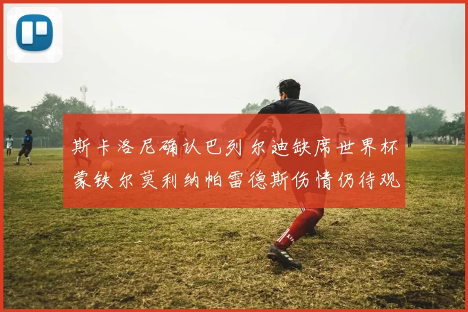 斯卡洛尼确认巴列尔迪缺席世界杯蒙铁尔莫利纳帕雷德斯伤情仍待观察