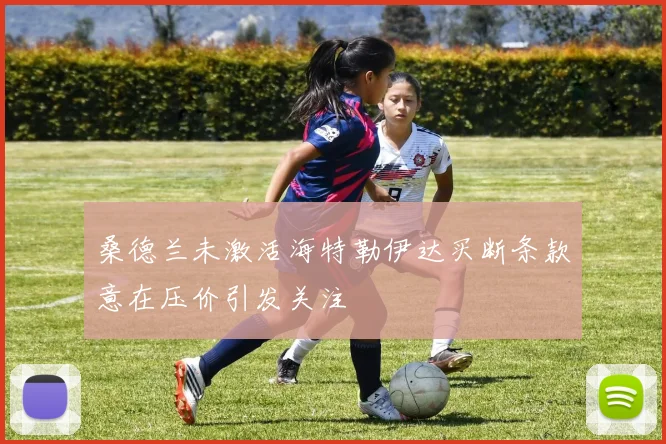 桑德兰未激活海特勒伊达买断条款意在压价引发关注